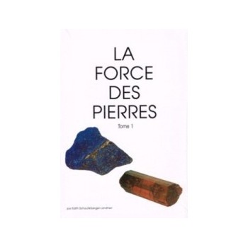 La force des pierres (tome I)