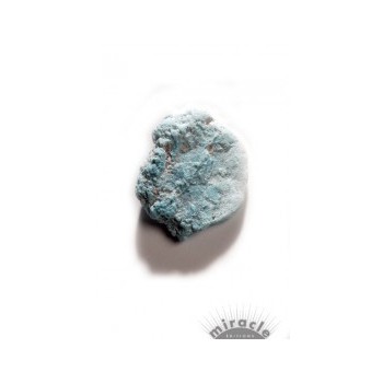 Turquoise Sleeping Beauty, brute Turquoise Sleeping Beauty, brute